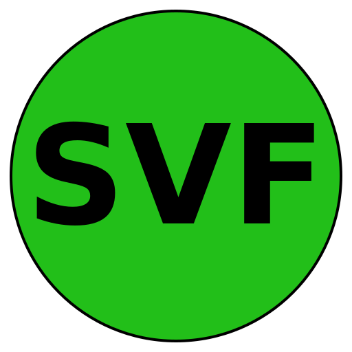 Strong Vision Fitness